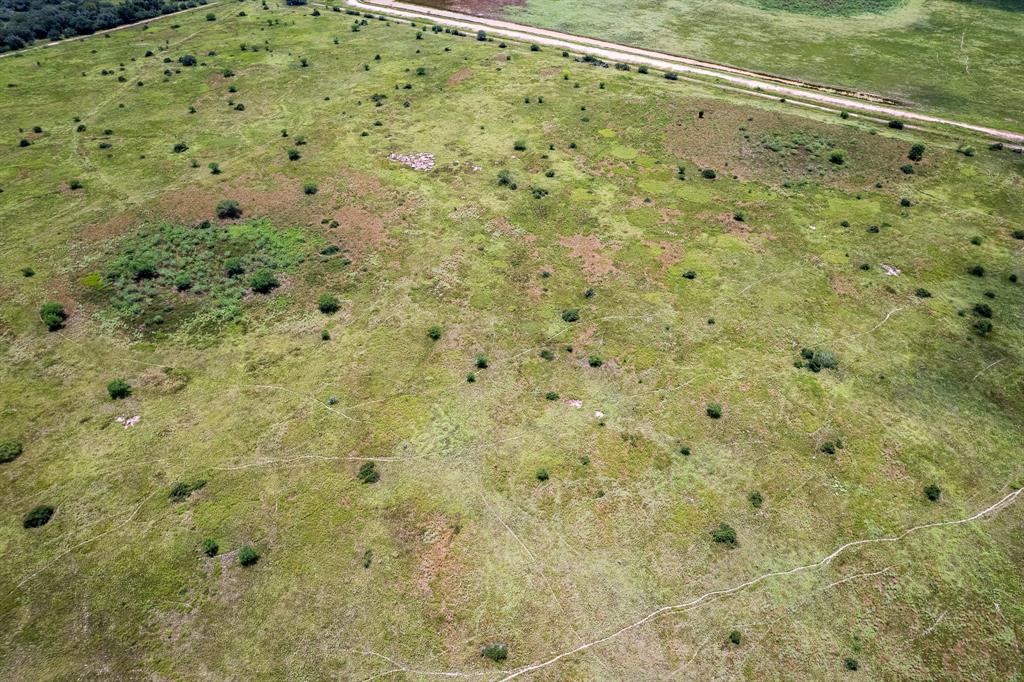 Tract 2 41.5 Acres County Road 18, Hallettsville, Texas image 9