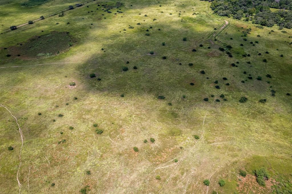 Tract 2 41.5 Acres County Road 18, Hallettsville, Texas image 10