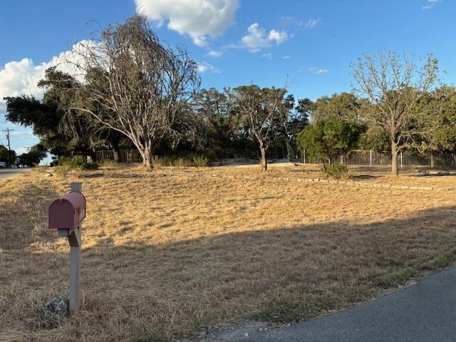 185 Polly Drive, Canyon Lake, Texas image 3