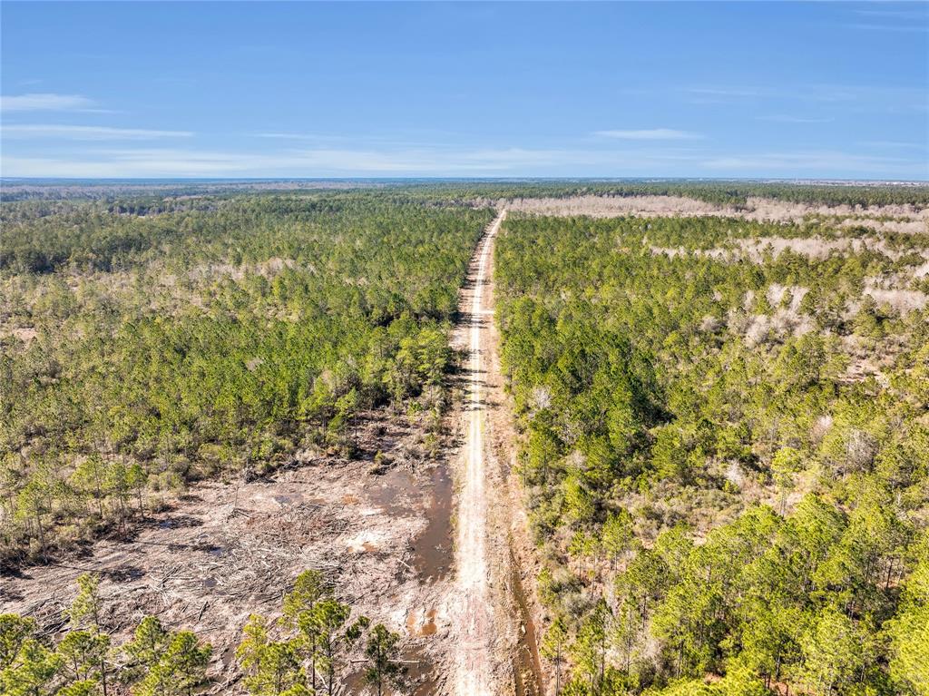 0000 Hwy 105, Sour Lake, Texas image 4