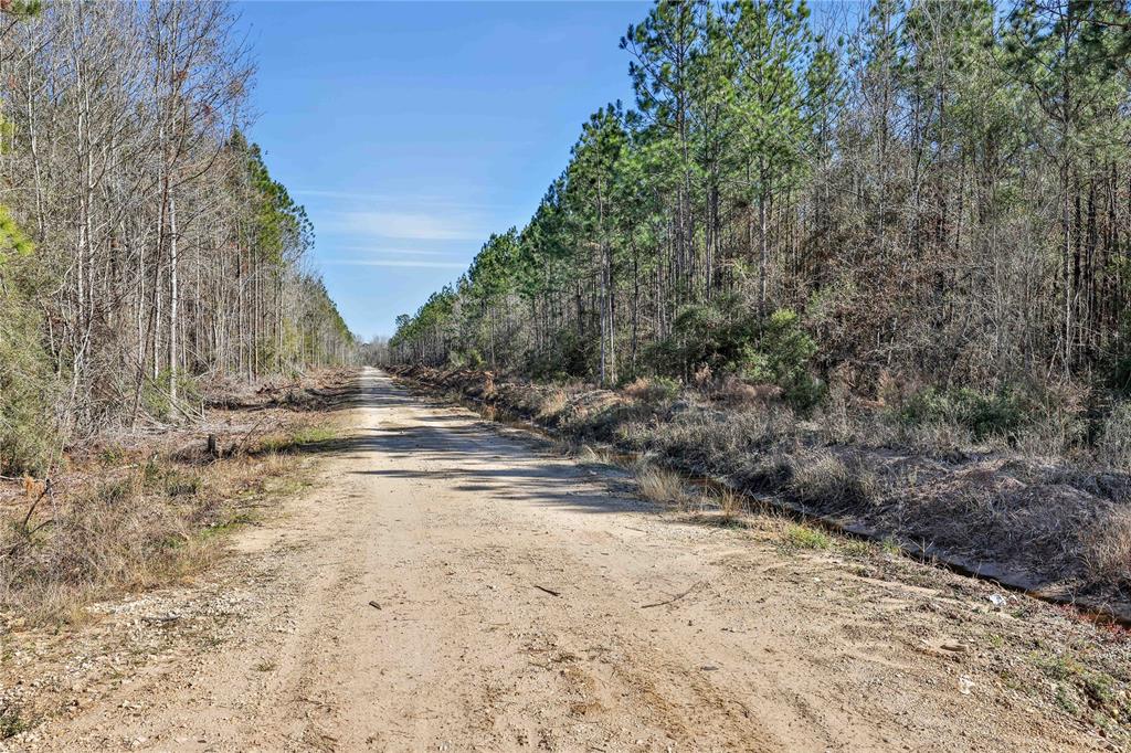 0000 Hwy 105, Sour Lake, Texas image 17