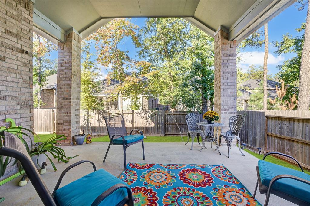 324 Cedrus Hills Trail, Willis, Texas image 20