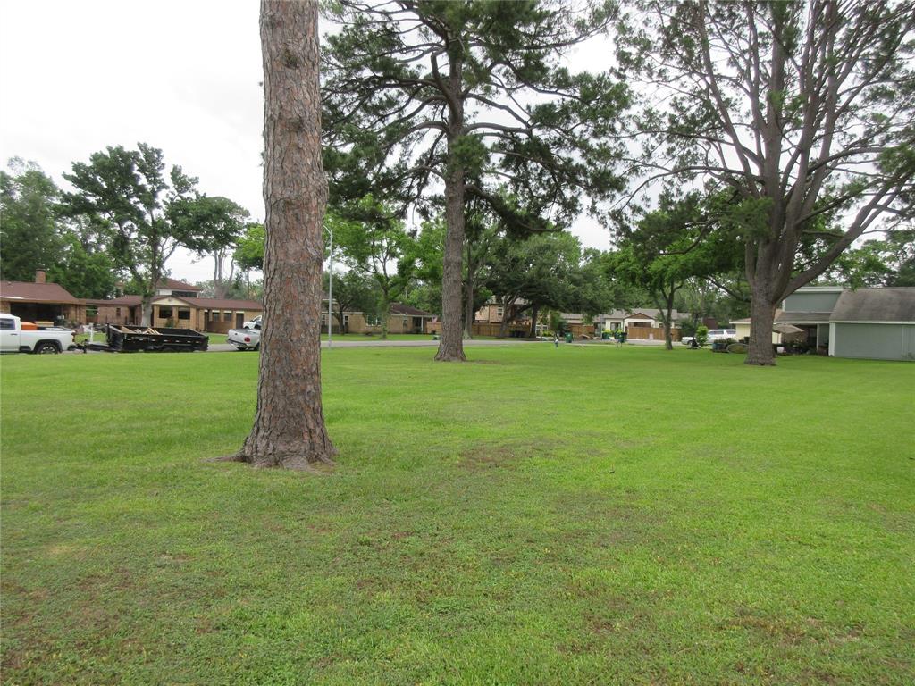 Barr Street, Houston, Texas image 4