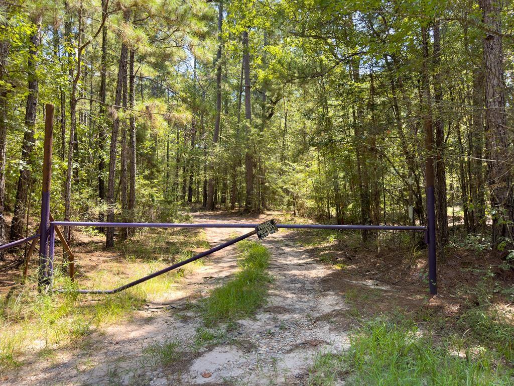 Tract 4.4 Frazier Road, Zavalla, Texas image 1