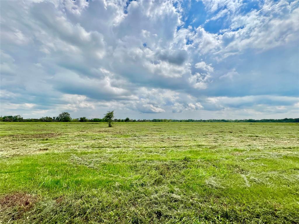 00 Apache Trail, Angleton, Texas image 9