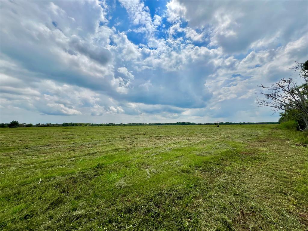 00 Apache Trail, Angleton, Texas image 10