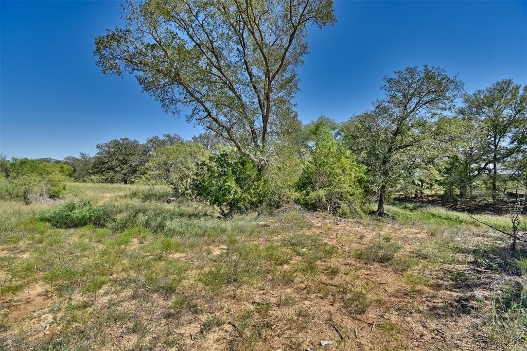 180 Sunny Day Drive Dr, Red Rock, Texas image 8