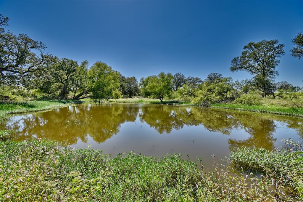 180 Sunny Day Drive Dr, Red Rock, Texas image 4