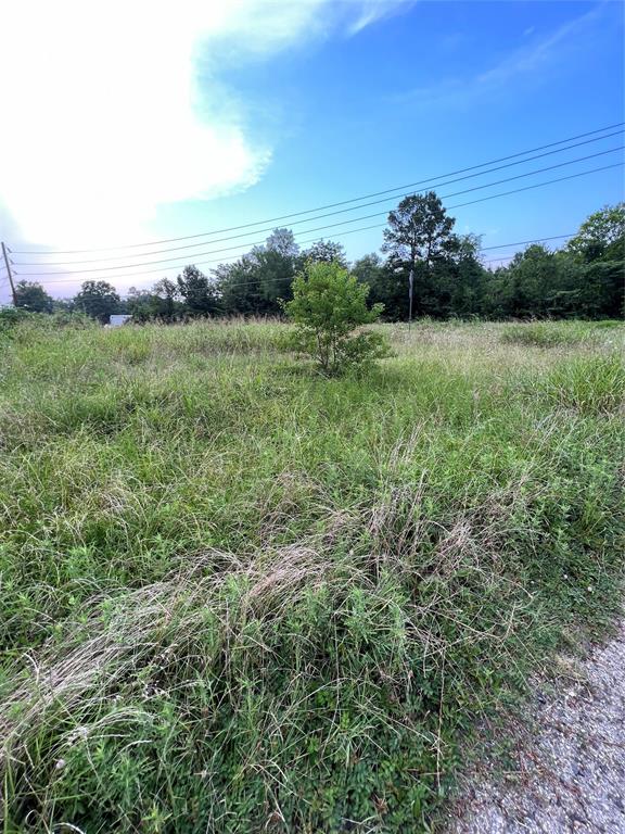 000 Beaver Bay Lane, Livingston, Texas image 3