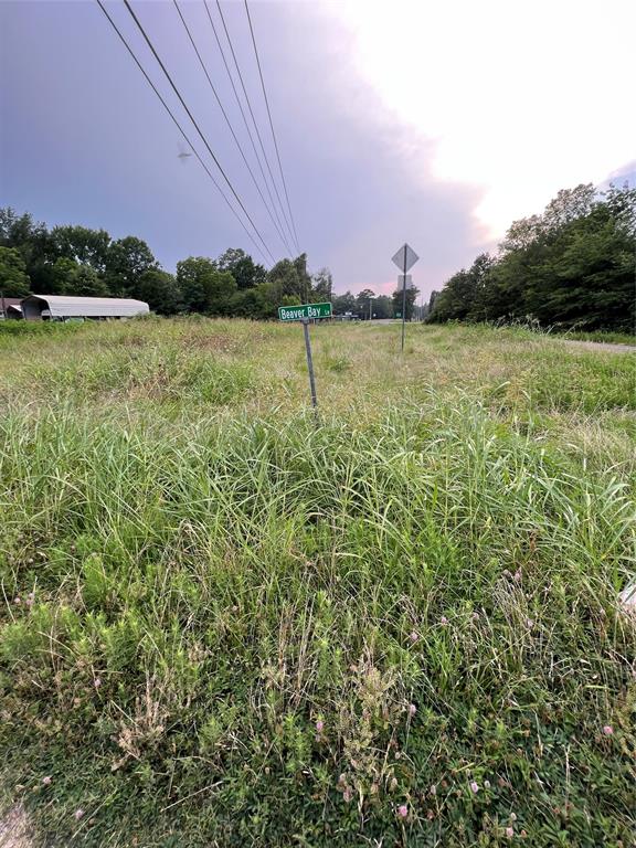 000 Beaver Bay Lane, Livingston, Texas image 1