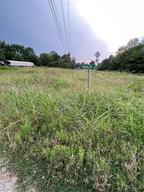 000 Beaver Bay Lane, Livingston, Texas image 2