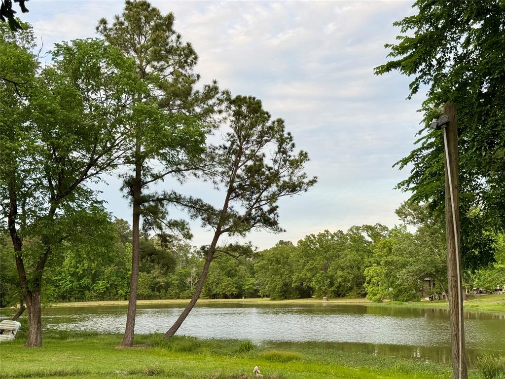 170 West Creek Crk, Trinity, Texas image 34