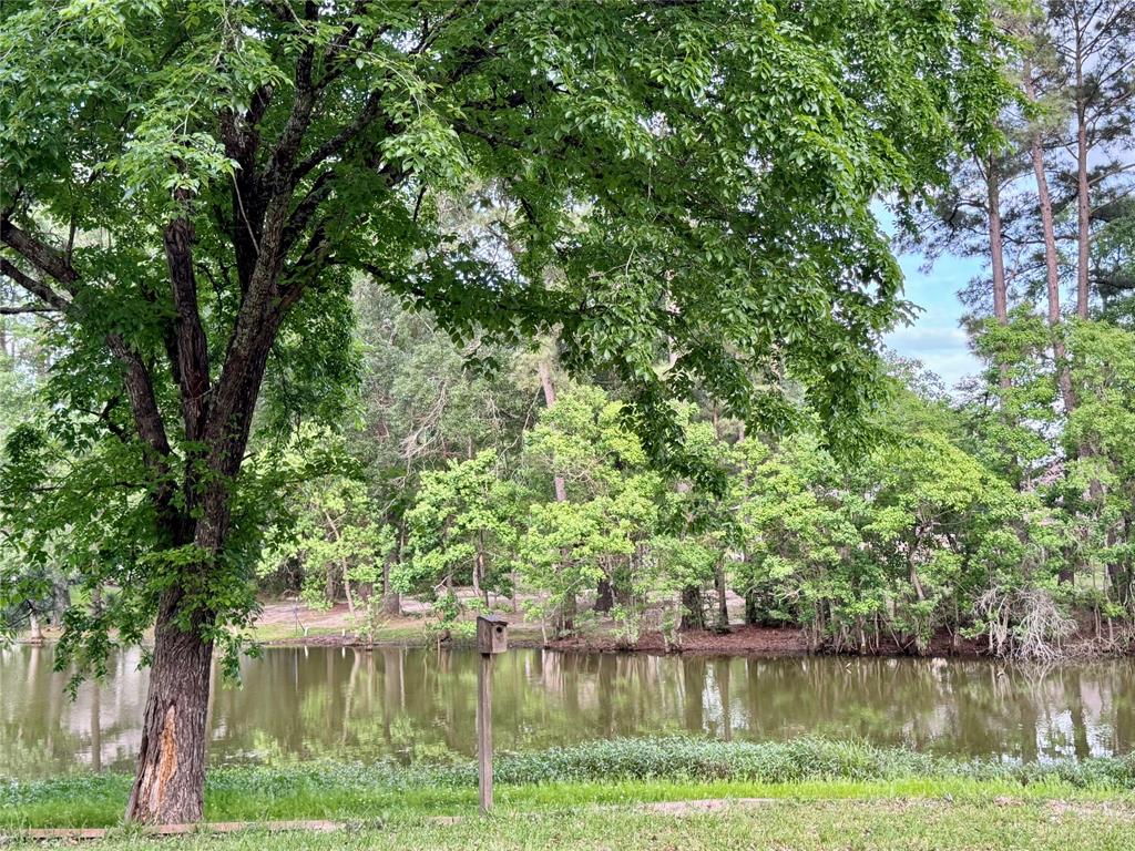 170 West Creek Crk, Trinity, Texas image 25