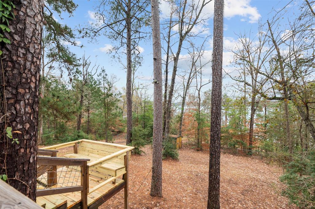 444 Driftwood Loop, Hemphill, Texas image 21