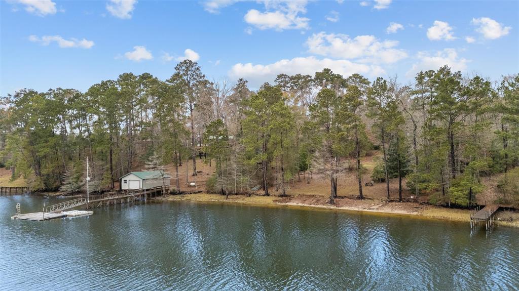 444 Driftwood Loop, Hemphill, Texas image 28