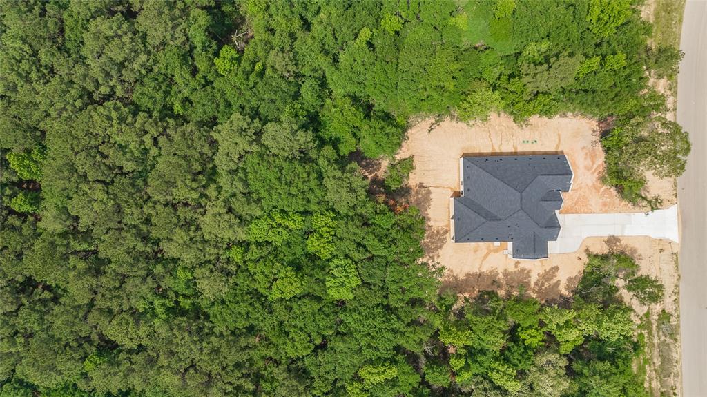 1549 Silver Creek Lane Ln, Montgomery, Texas image 4