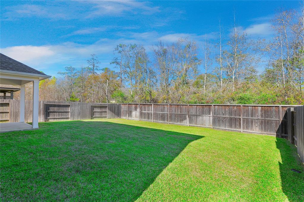 23827 Via Leoni Drive, New Caney, Texas image 22