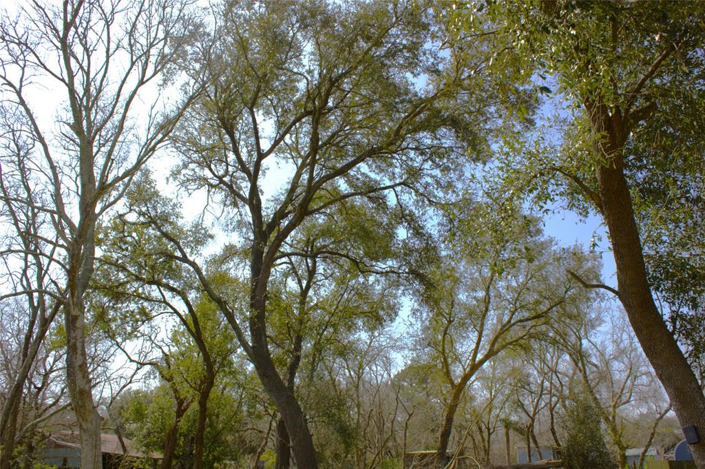 Amato Street, La Marque, Texas image 11