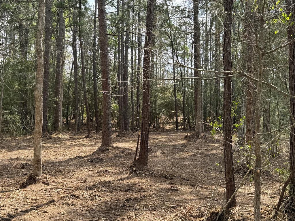 087 Private Road 6026, Brookeland, Texas image 1