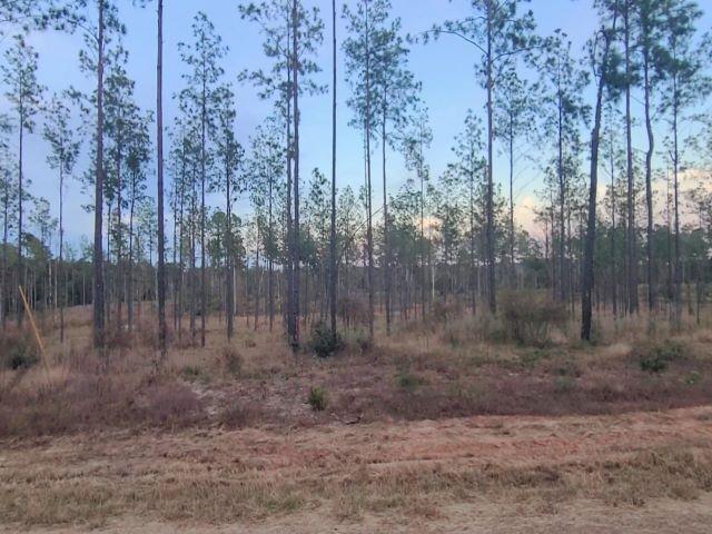 087 Private Road 6026, Brookeland, Texas image 2