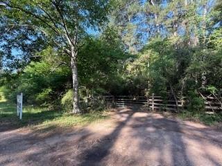 24327 Nichols Sawmill Road, Magnolia, Texas image 1