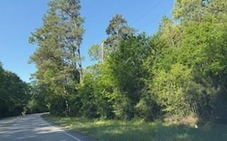 24327 Nichols Sawmill Road, Magnolia, Texas image 10