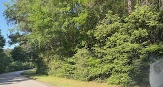 24327 Nichols Sawmill Road, Magnolia, Texas image 9