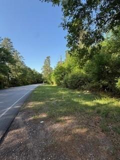 24327 Nichols Sawmill Road, Magnolia, Texas image 6