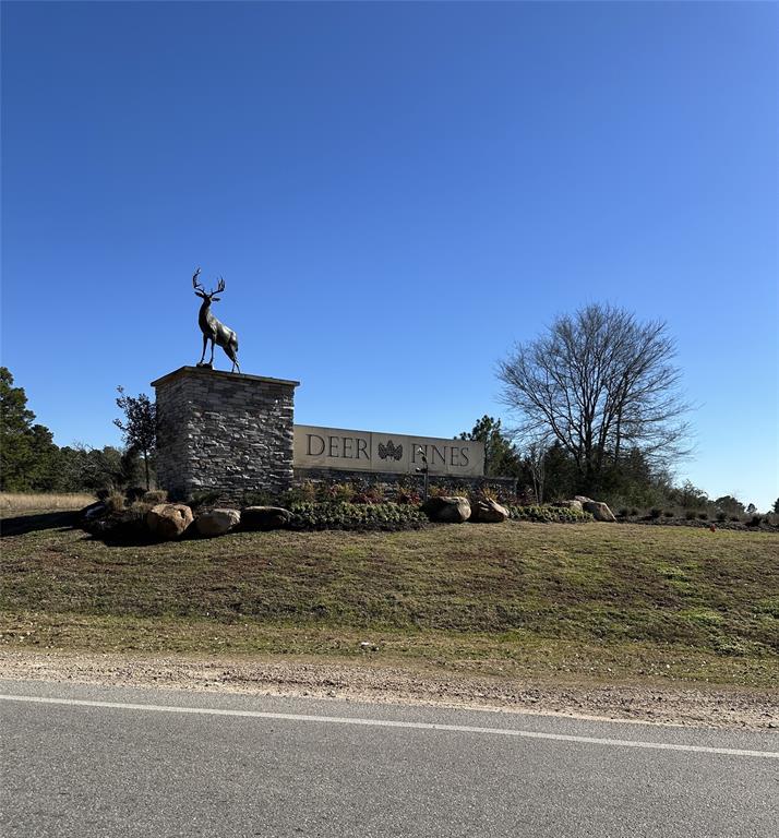16350 Ellis Street, Conroe, Texas image 35