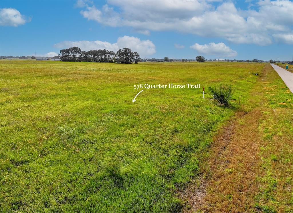 578 Quarter Horse Trail, Angleton, Texas image 6