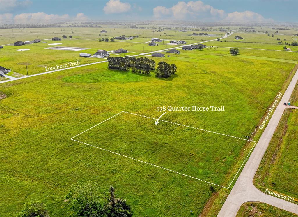578 Quarter Horse Trail, Angleton, Texas image 5