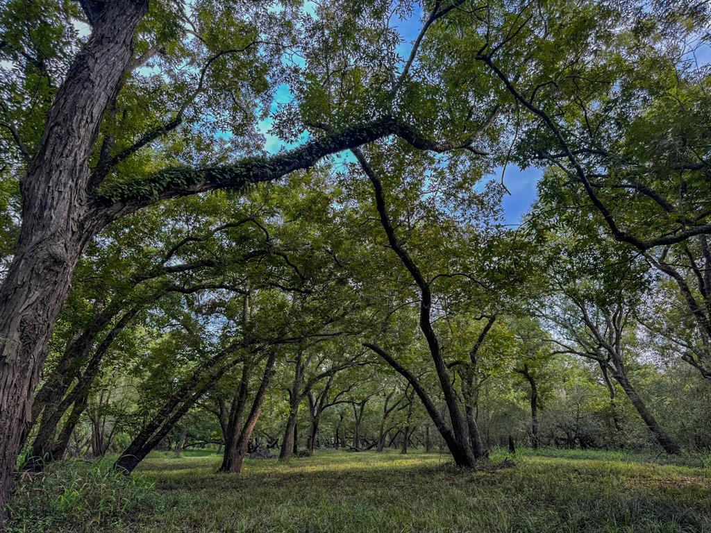 000 Baldwin Drive, Hungerford, Texas image 7