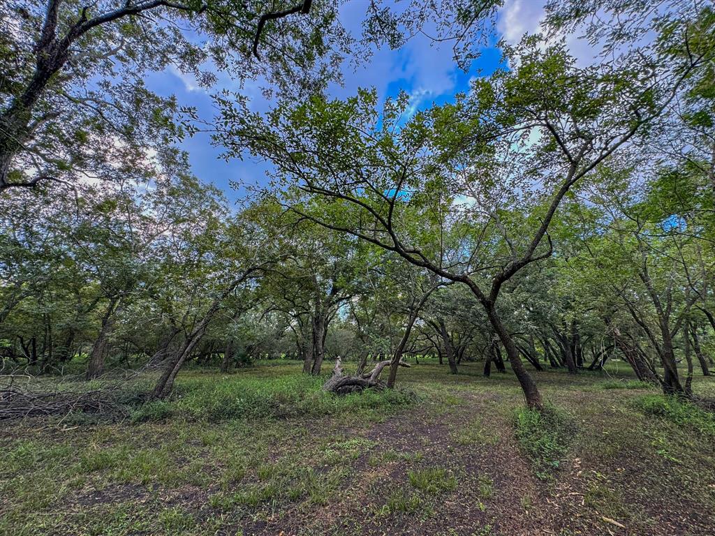 000 Baldwin Drive, Hungerford, Texas image 26