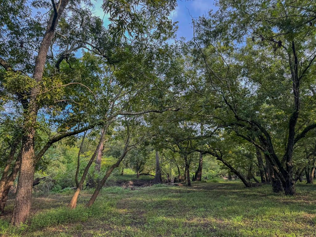 000 Baldwin Drive, Hungerford, Texas image 4