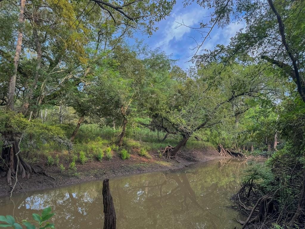 000 Baldwin Drive, Hungerford, Texas image 8