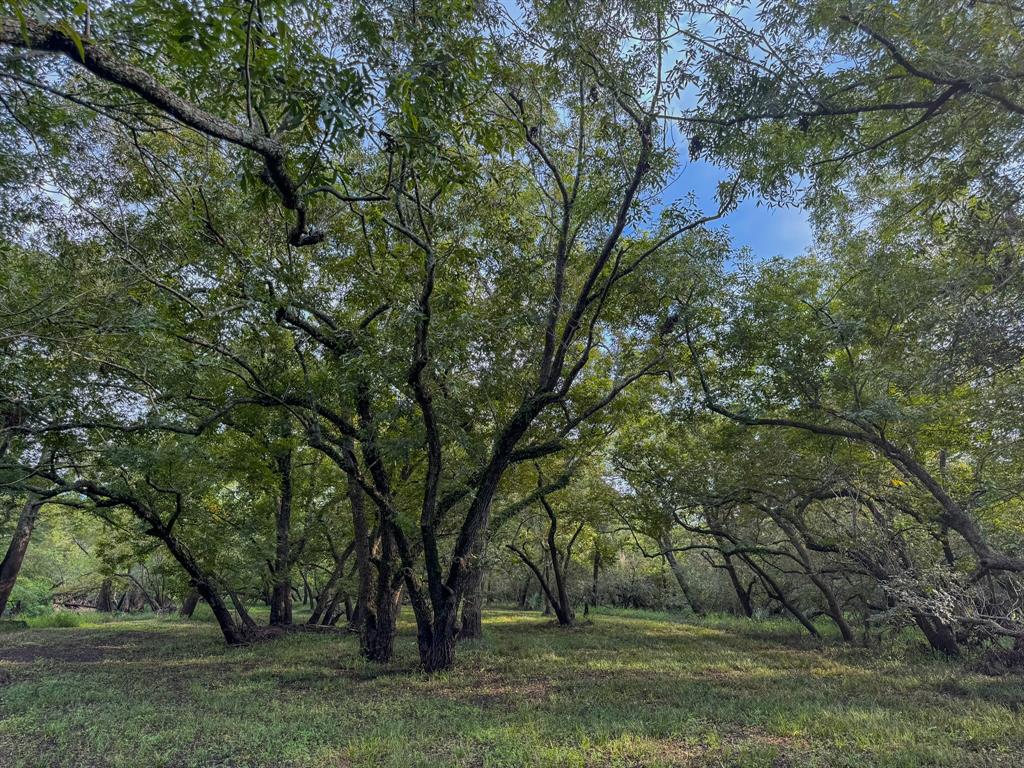 000 Baldwin Drive, Hungerford, Texas image 6