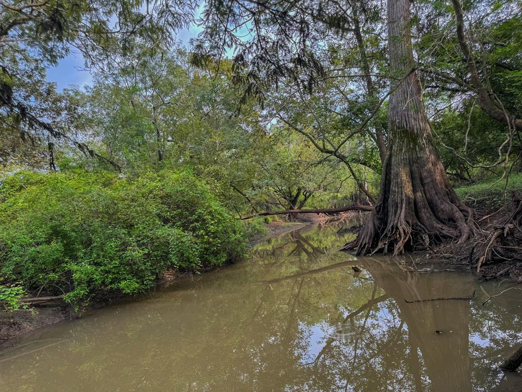 000 Baldwin Drive, Hungerford, Texas image 9