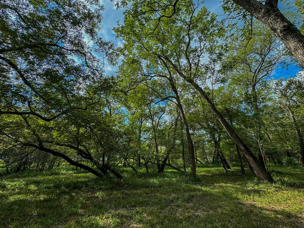 000 Baldwin Drive, Hungerford, Texas image 12