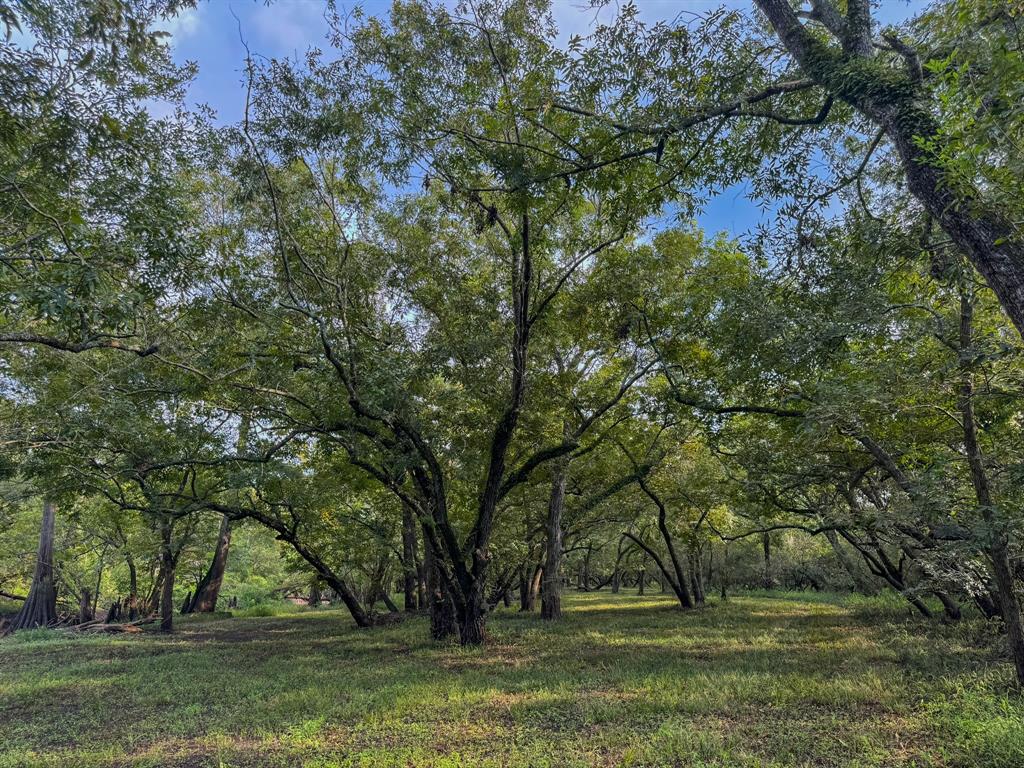 000 Baldwin Drive, Hungerford, Texas image 5