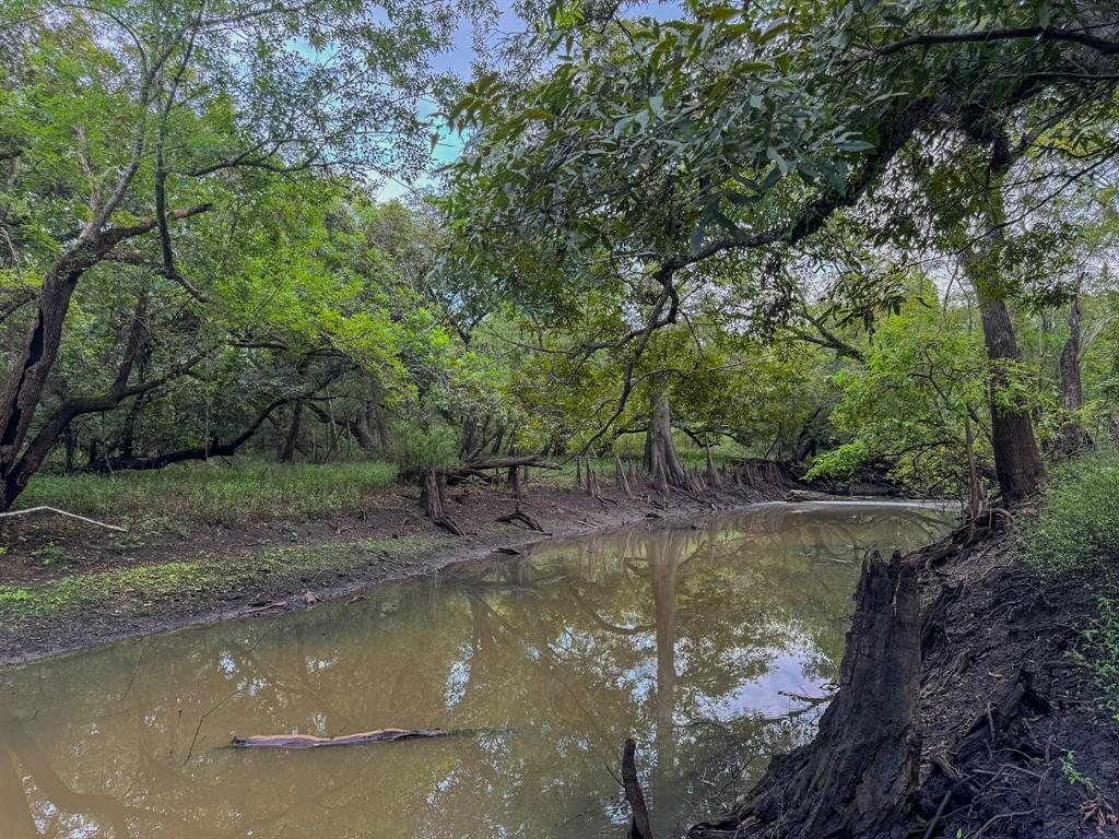 000 Baldwin Drive, Hungerford, Texas image 10