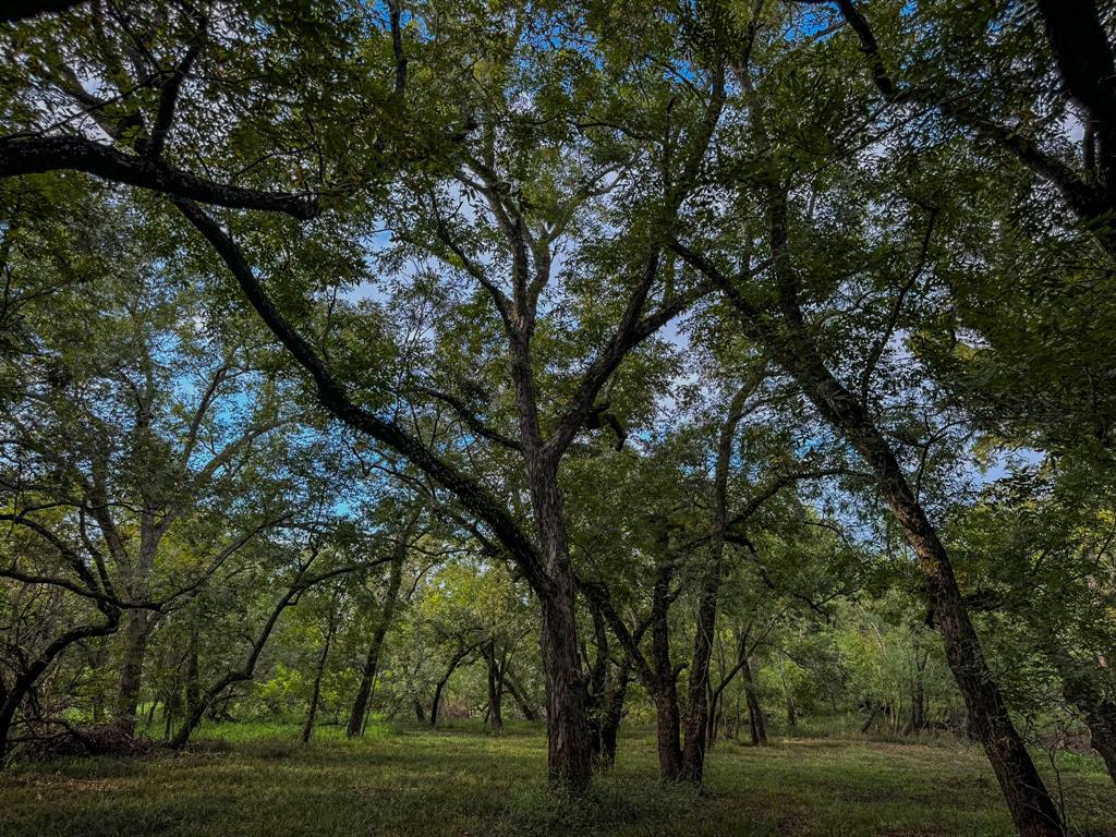 000 Baldwin Drive, Hungerford, Texas image 20