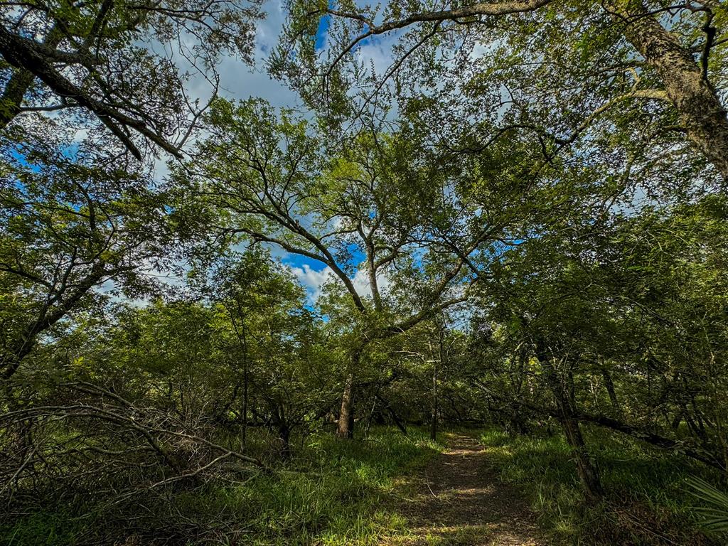 000 Baldwin Drive, Hungerford, Texas image 13