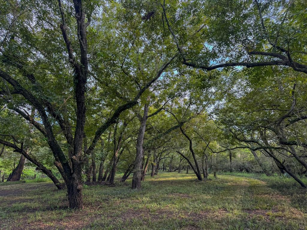 000 Baldwin Drive, Hungerford, Texas image 15