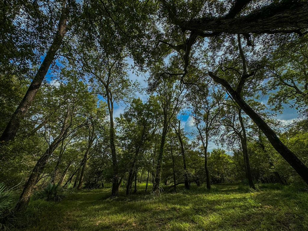 000 Baldwin Drive, Hungerford, Texas image 11