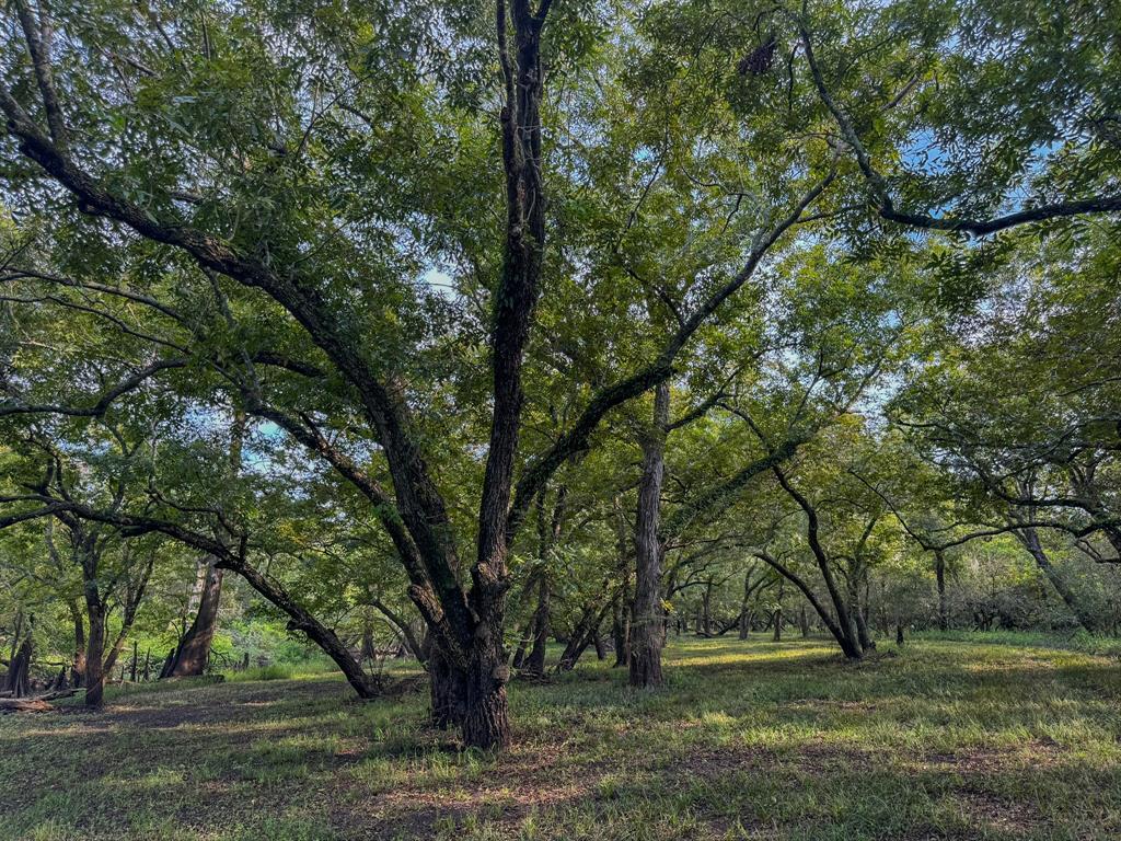 000 Baldwin Drive, Hungerford, Texas image 14