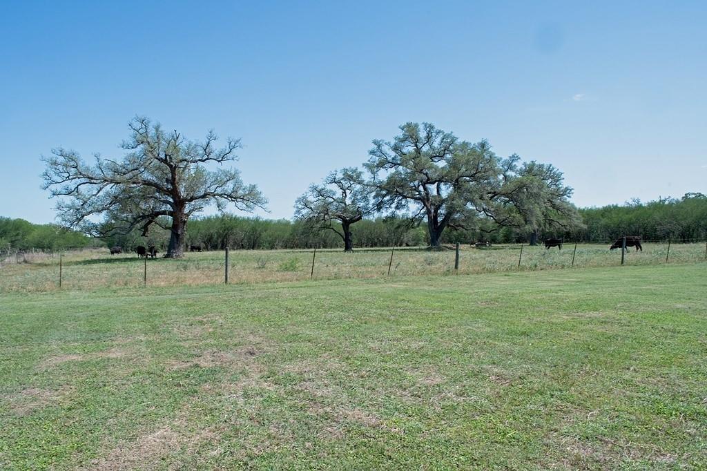 917 Bordovsdy Rd, La Grange, Texas image 22
