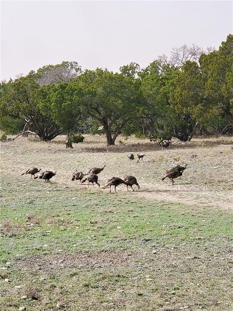989 Cedar Ridge Road Junction TX 76849