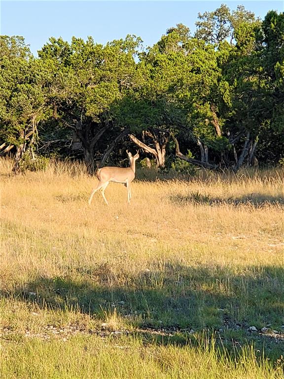 989 Cedar Ridge Road, Junction, Texas image 10