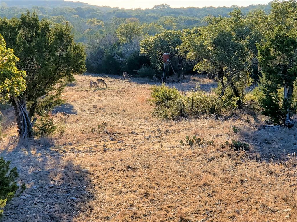 989 Cedar Ridge Road, Junction, Texas image 9