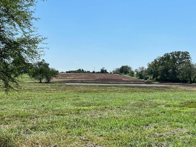 TBD Reinecker Road, Wallis, Texas image 3